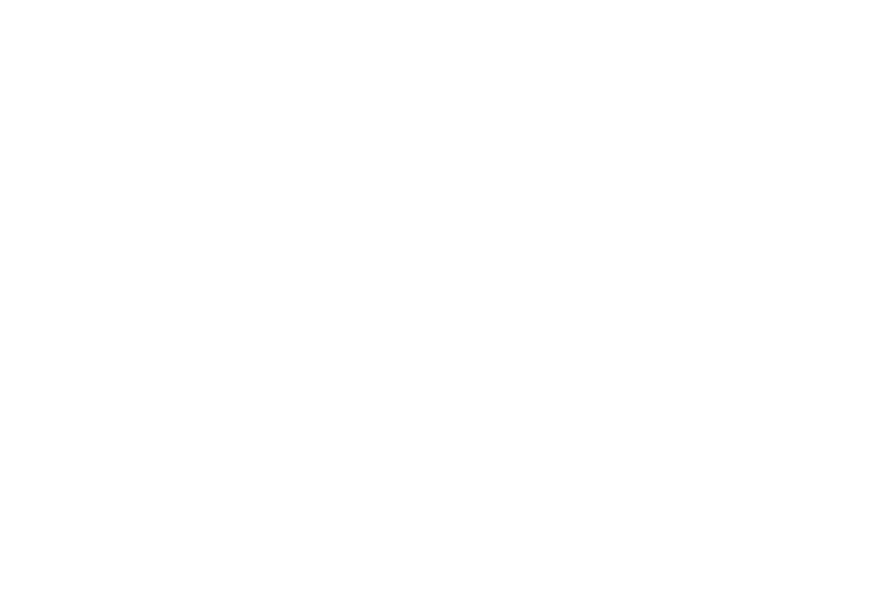 Petronas.png